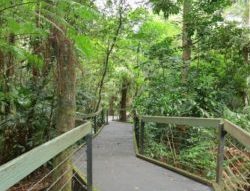 王立植物園
